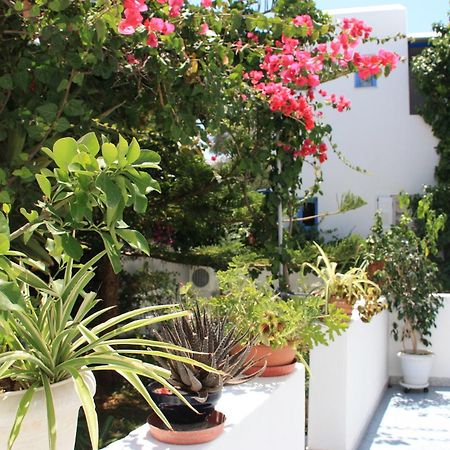 Loukia Apartments & Studios Naousa  Exterior foto