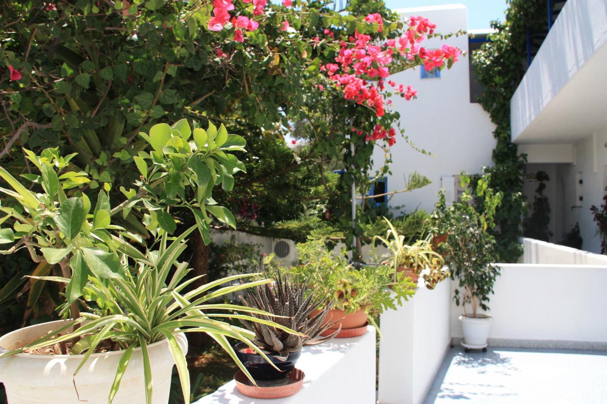 Loukia Apartments & Studios Naousa  Exterior foto
