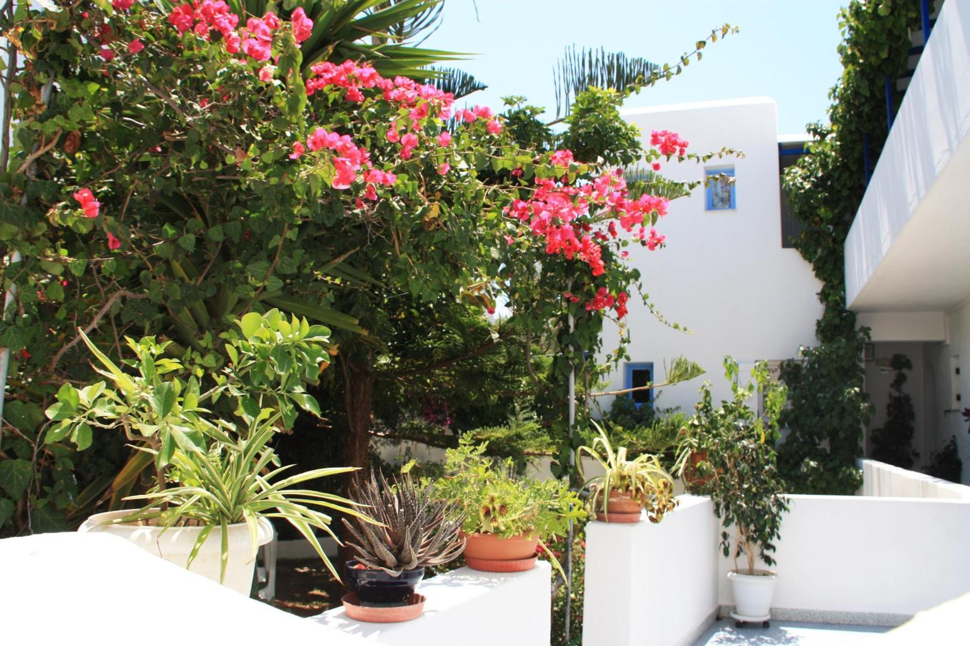 Loukia Apartments & Studios Naousa  Exterior foto